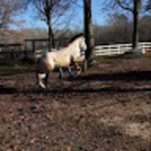 Meet your Posher, Jorge